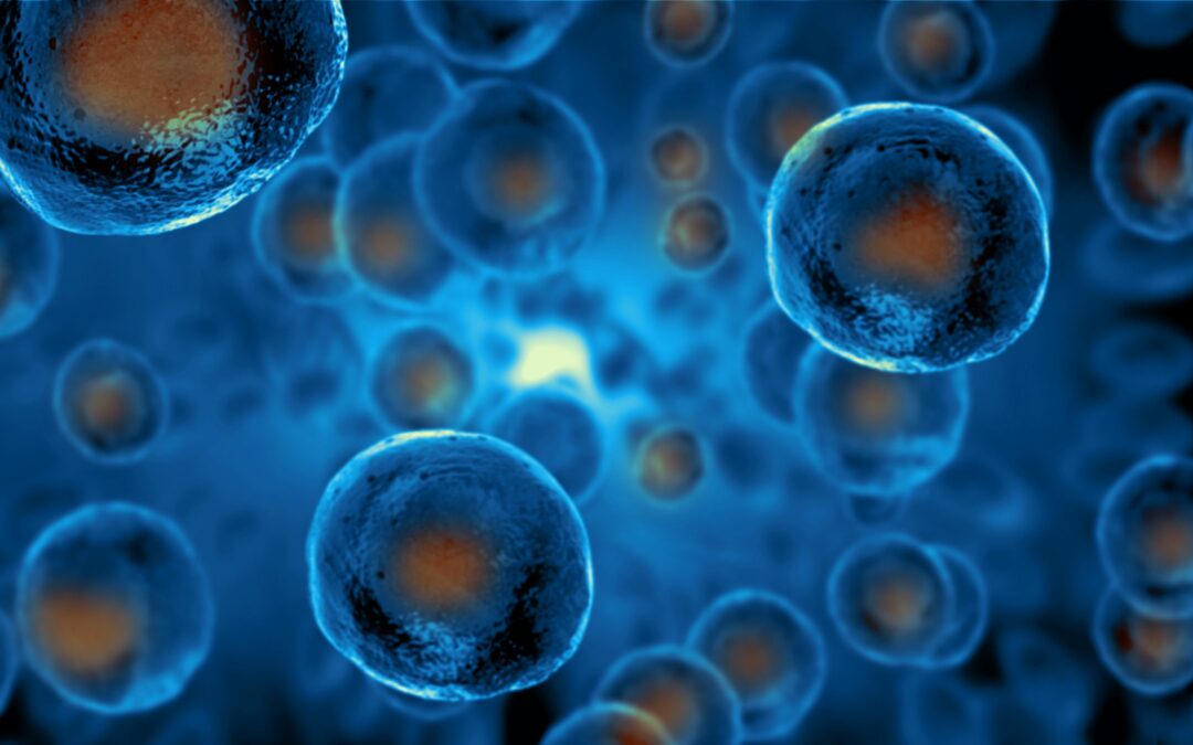 What Are Two Possible Risks Of Using Stem Cells