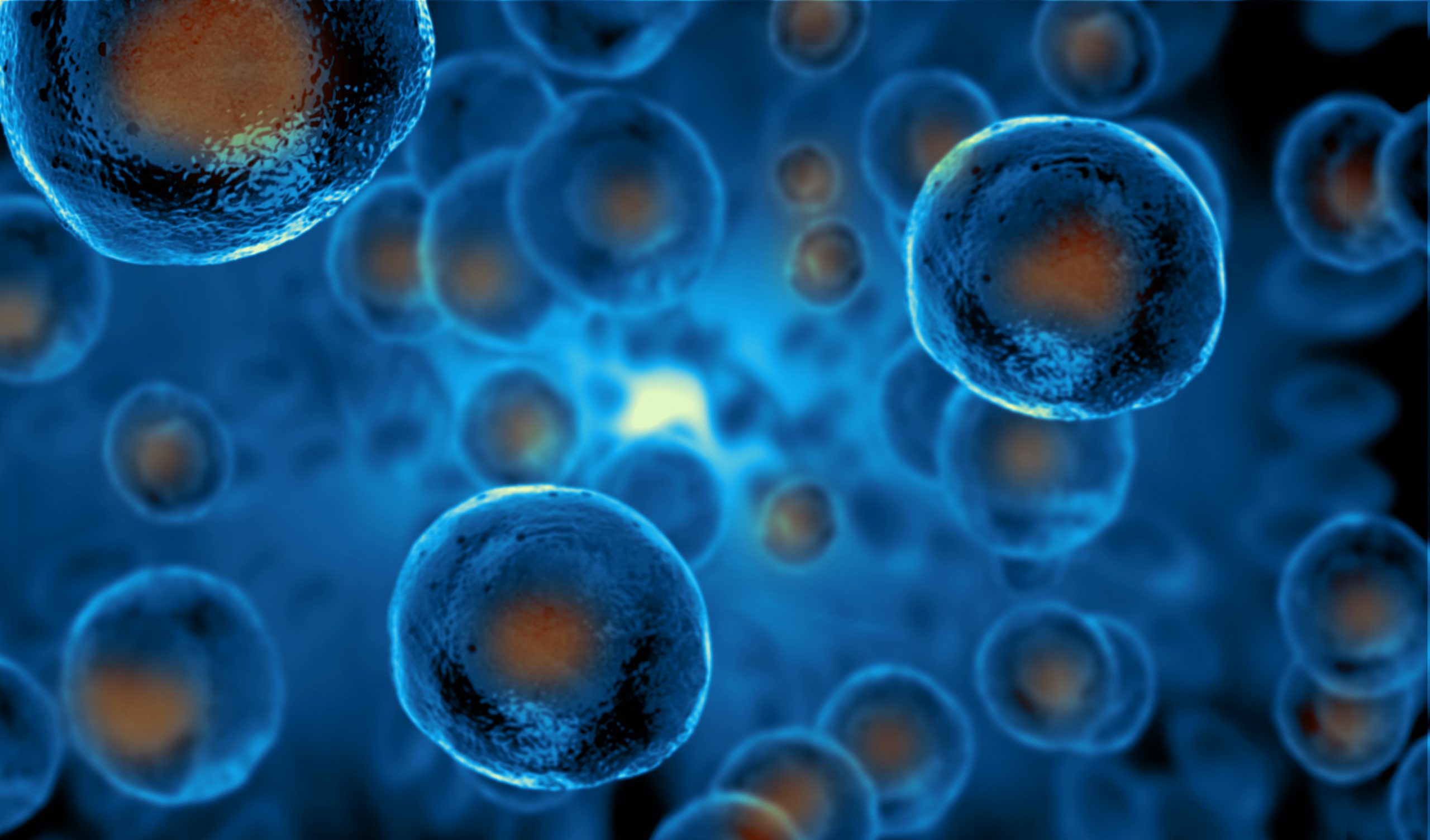 What Are Two Possible Risks Of Using Stem Cells