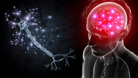 What Is Neural Therapy?