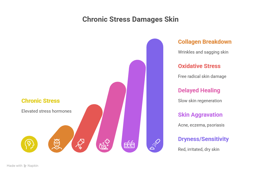 integrative medicine doctor