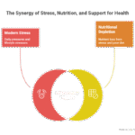 Recharge, Restore, and Reduce Inflammation