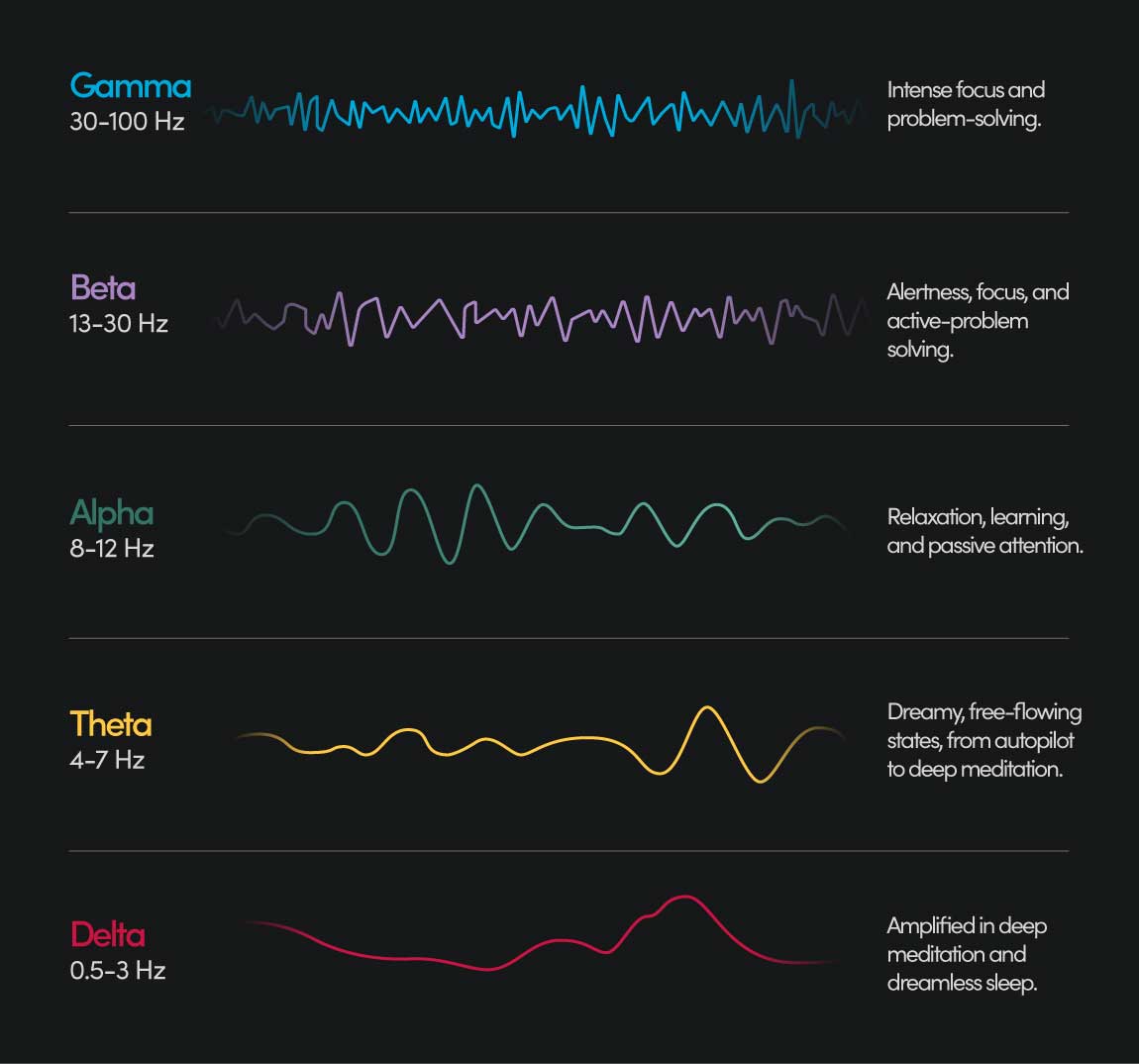 Brainwave chart comparing different brain activity states